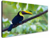 ЖК-панель для видеостен Exell EXPD-WA55BB15 55
