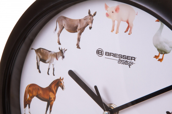 Часы настенные Bresser (Брессер) Junior, 25 см, с животными