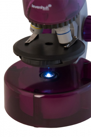 Микроскоп Levenhuk (Левенгук) LabZZ M101 Amethyst\Аметист