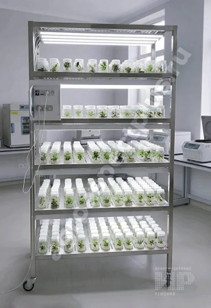 Микроклональная установка VeFarm-Invitro