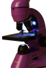 Микроскоп Levenhuk (Левенгук) Rainbow 50L Amethyst\Аметист