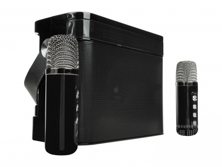 Переносная караоке система iconBIT K902B
