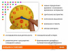 Изучаем время. Набор для группы. (1 большие часы - диаметр 30 см, и 24 малых - диаметр 11 см)