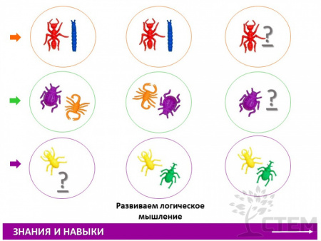 Материал счетный фигурки "Насекомые" (72шт, 12 видов, 6 цветов)