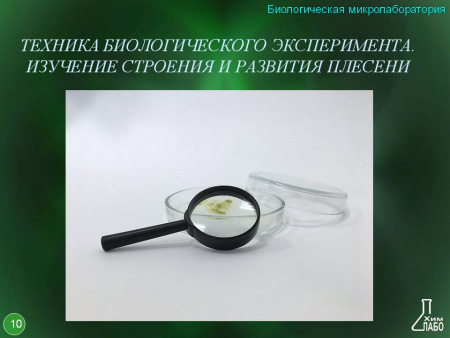 Биологическая микролаборатория с микропрепаратами 