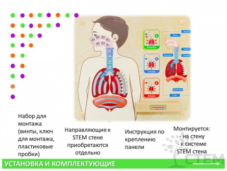 Панель "Дыхательная система"