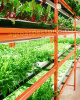 Гидропонная установка  VeFarm GR* 3 яруса