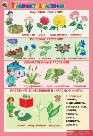 Комплект таблиц. Окружающий мир 5-6 лет. "Животные и растения".