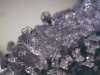 Микроскоп стереоскопический Bresser (Брессер) Erudit ICD 20x/40x