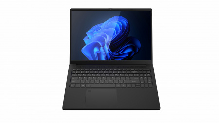 Ноутбук Raybook Si1670