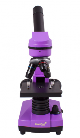 Микроскоп Levenhuk (Левенгук) Rainbow 2L Amethyst\Аметист
