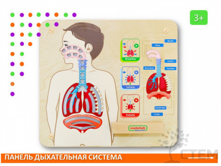 Панель "Дыхательная система"