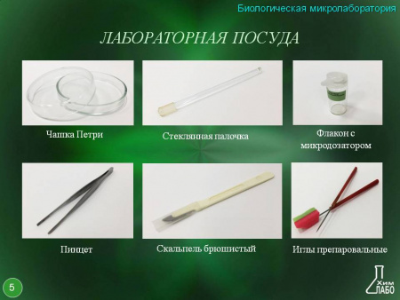 Биологическая микролаборатория с микропрепаратами 
