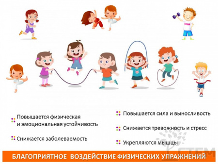 Балансир круговой с шариками 