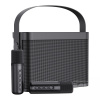 Переносная караоке система iconBIT K802B