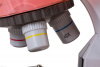 Микроскоп Levenhuk (Левенгук) LabZZ M101 Orange\Апельсин