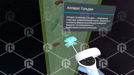 Виртуальный учебный комплекс «Наглядная биология PL-BiologyVR» Максимальная, К3