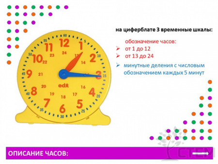 Часы демонстрационные 24-часовой формат (30 см)